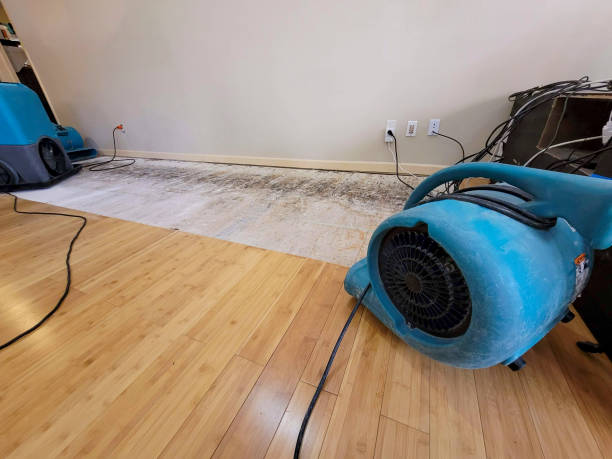 Reliable Basement Flood Cleanup contractor in Lenexa, KS by Hirex Water Damage