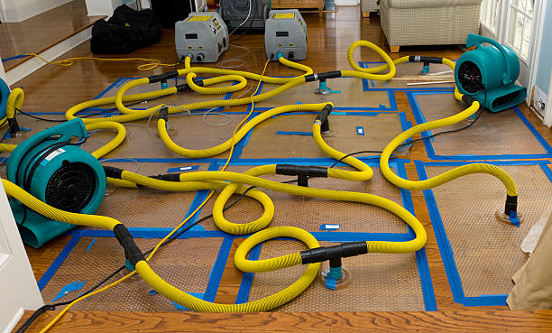 Professional Basement Flood Cleanup technician working in Lenexa, KS