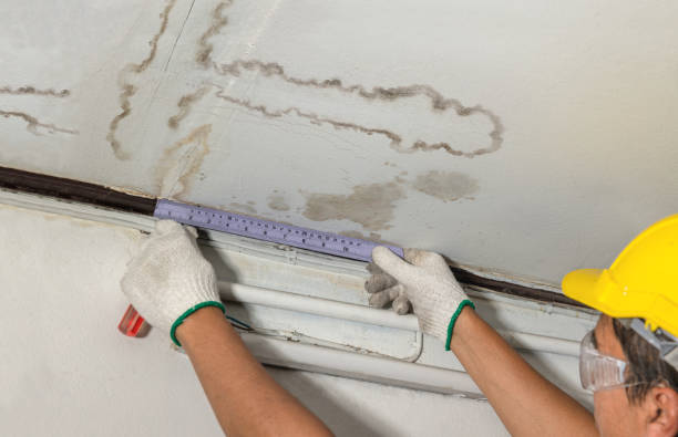Affordable Water Damage Repair solutions in Lenexa, KS